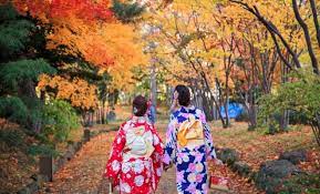 Lebih dari 13.000 atlet bersaing di olimpiade musim panas dan musim dingin di 33 olahraga yang berbeda dan hampir 400 pertandingan. Tsukimi Tradisi Di Jepang Saat Musim Gugur Liburan Ke Jepang