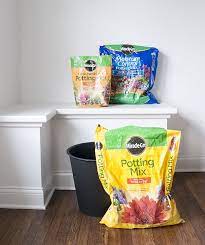While they can be pretty low maintenance plants (we promise!), setting any good quality houseplant soil mix will work for your fiddle leaf fig, such as miraclegro indoor potting mix , which is specifically designed to. How To Repot A Fiddle Leaf Fig Tree Room For Tuesday Fiddle Leaf Fig Tree Fiddle Leaf Fig Fiddle Leaf Fig Care