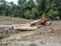 Di malaysia, terdapat banyak tasik dan sungai yang menjadi sumber bekalan air yang utama. Kesan Kegiatan Manusia Geografi Tingkatan 1