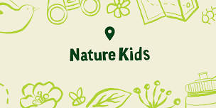 Nature Kids: Batty for Bats!