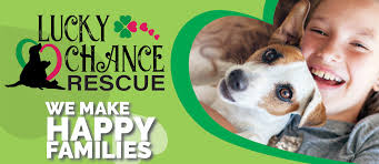 Adopt A Pet Lucky Chance Rescue