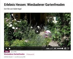 Unser Hofchen Im Hr Fernsehen Heldamherd In 2020 Garten Hof Hinterhof Terrasse