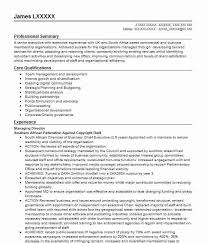 Example of a cv in south africa. 88 Senior Executive Cv Examples Management Cvs Livecareer