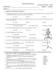 Las unidades están organizadas del siguiente modo • comprueba lo que sabes. Examen Ciencias Naturales Primer Bimestre Cuarto Grado Gusto Musculo