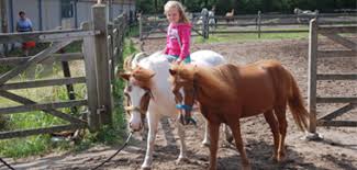 Schepdaal is a village and deelgemeente of dilbeek. Verblijfs Arrangementen Ponykampen Verenigingen