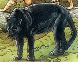 Image result for Panther Black 2002 Puma