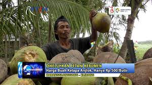 Here are some helpful navigation tips and features. Harga Kelapa Di Kebumen Anjlok Hanya Rp 500 Butir Youtube