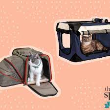 Its unique 360° accessible design makes it easy to place your cat. The 7 Best Cat Carriers