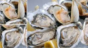 We did not find results for: Makanan Kaya Nutrisi Yang Rentan Terkontaminasi I Beauty Fimela Com