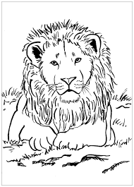 But surprises are not yet finished: Majestic Lion Lions Adult Coloring Pages
