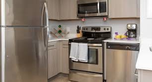 If an unresolved pest problem should be reported to the council. Socam 290 36 Reviews New Brunswick Nj Apartments For Rent Apartmentratings C