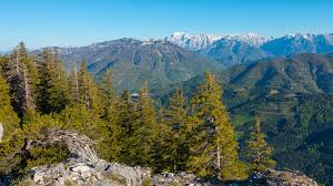 Die frau hatte am freitagnachmittag alleine eine wanderung auf den zwillingskogel unternommen. Trailrun Auf Den Zwillingskogel Trailrunning Outdooractive Com