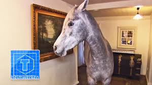Haus-Pferd | Tiere | ToolTown