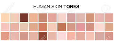 skin tone color chart human skin texture color infographic palette