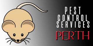 Don't hesitate to call us! The 8 Best Options For Pest Control Services In Perth 2021