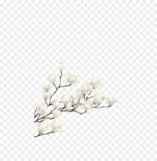 Largest selection of beautiful customizable invitations, announcements, & cards. Floral Pattern Background Png Download 510 906 Free Transparent White Png Download Cleanpng Kisspng