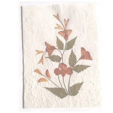 This easy diy project is inexpensive, fast, and simple. Handmade Pressed Flower Greeting Card Designs Make Great Birthday Anniversary And Wedding Gift Card Ideas Assorted Pack Of 3 Cards Buy Online In United Arab Emirates At Desertcart Ae Productid 49834416