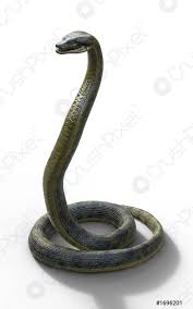 Il fait partie de la famille des élapidés et vit dans les plaines et les montagnes de l'asie. 3d Illustration Anaconda Boa Constrictor Le Plus Grand Serpent Venimeux Stock Photo Crushpixel