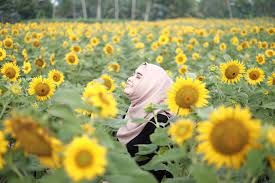 Bunga matahari guesthouse and hotep adalah pilihan cerdas bagi traveler yang mengidamkan penginapan nyaman dengan harga terjangkau. Wow 16 Bunga Matahari Malang Koleksi Bunga Hd