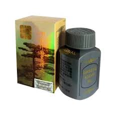 Hasil gambar untuk obat penggemuk kianpi