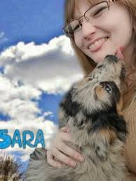 Top Dog Sitters in 米拉卡 with Best Prices