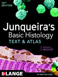 Maka tidak heran jika banyak orang terutama pengguna internet . Junqueira S Basic Histology Text And Atlas 14th Edition B Indo 6lk9v46eg8q4