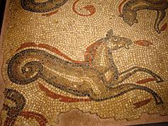 We did not find results for: Hippocampus Mythology Wikipedia