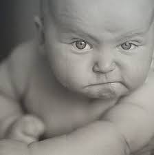 Anyone got a Ice report for Lee lake Cazenovia WI