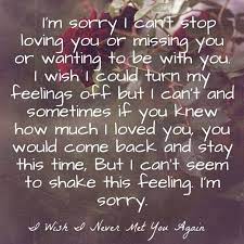 Wish I Never Met You Quotes For Separated Love Couples Meeting You Quotes Apologizing Quotes Lost Love Quotes