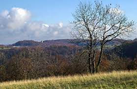 Ich habe so unnormal viele komplimente dafür bekommen. Es Wird Fruhling Auf Der Schwabischen Alb Foto Bild Deutschland Europe Baden Wurttemberg Bilder Auf Fotocommunity
