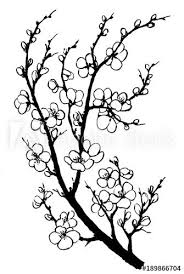 Black And White Silhouette Cherry Blossom Tree Drawing Image Result For Easy Acrylic Painting Ideas Trees Cherry Blossom Flowers Cherry Blossoms Illustration Cherry Blossom