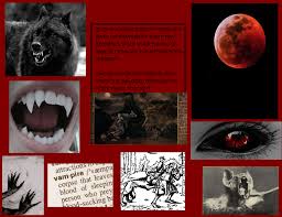 Careful and suspicious of humans. My Werewolf Vampire Aesthetic By Lorddurion On Deviantart