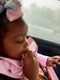 Alpacas enjoying indoor time
