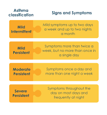 Image result for Mild Persistent Asthma