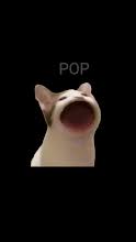 12 hours ago · ทั้งนี้เกม popcat มีที่มาจากมีมตลกมีมหนึ่ง เป็นแมวที่มีชื่อว่า โอ๊ตมีล ของผู้ใช้ทวิตเตอร์ @xavierbfb ชาวอเมริกันที่อัดคลิปแมวของ. Popcat Apps On Google Play