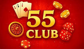 55 Club Business Model Explained: Platform Operations, Users, and Services