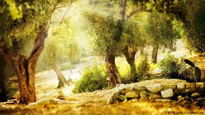Check spelling or type a new query. Nice Nature Wallpapers Mobile Data Src Nice Nature Background Design 1920x1080 Wallpaper Teahub Io