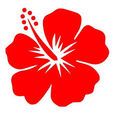 We did not find results for: Decor Decals Stickers Vinyl Art Hibiscus Flower Hawaiian Vinyl Decal Sticker Free Shipping Home Garden