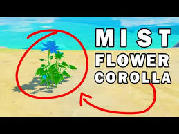 Check spelling or type a new query. Genshin Impact Mist Flower Corolla Darkknight Hero Alibi All 4