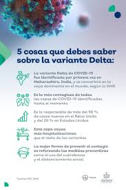 Un nuevo estudio sugirió que la variante puede evadir los anticuerpos naturales producidos en. Secretaria De Salud Jalisco V Twitter Estar Bien Informados Tambien Es Prevencion Esto Es Lo Que Debes Saber Sobre Delta La Nueva Cepa De Covid19 Identificada En Nuestro Estado Por Tu Salud