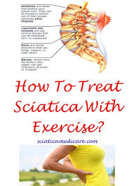 Pin On Sciatica Diet