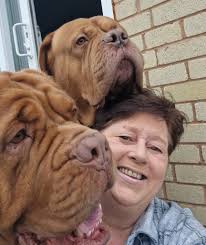 If you need a Mason I install windows doors make door jams steel work  install toilet face basen u can app r call me at anytime +18767888590 may  the lord bless you