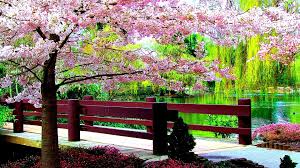 Itl.cat provides hd desktop and mobile wallpapers and backgrounds for free download. Spring Park Wallpapers Wallpaper Cave