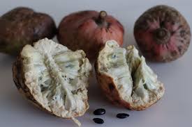 Image result for Annona reticulata