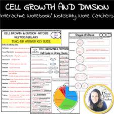 We also look at the multiplying of body cells (mitosis) vs. Mitosis Worksheet Teachers Pay Teachers
