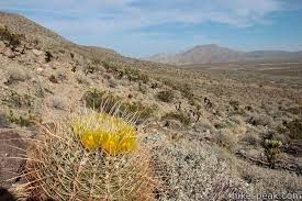 Based on data reported by over 4,000 weather stations. Cactus Loop Trail Anza Borrego Desert State Park Hikespeak Com