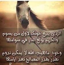الردي يبيع خوتك funny animals animals animals bugs