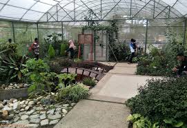 Taman agroteknologi mardi cameron is one of cameron highlands's most renowned sites. Berkunjung Ke Taman Rama Rama Mardi Agroteknologi Cameron Highlands