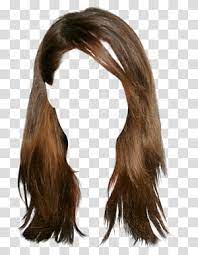 Woman S Brown Hair Wig Hairstyle Brown Hair Wig Transparent Background Png Clipart Wig Hairstyles Cornrows With Box Braids Black Hair Wigs