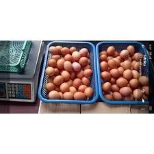 Merupakan daging ayam pilihan yang dikemas secara higienis, sehat dan praktis. Jual Telur Ayam Fresh Terbaru Juli 2021 Blibli